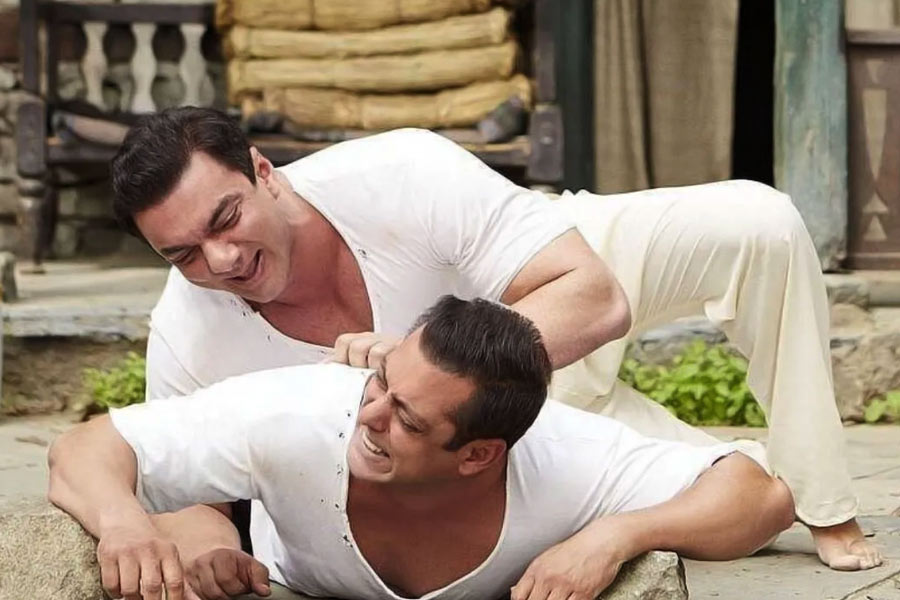 একাধিক হিন্দি ছবির প্রযোজনার পাশাপাশি ‘প্যার কিয়া তো ডরনা কয়া’, ‘ম্যায়নে প্যার কিঁউ কিয়া’, ‘হ্যালো ব্রাদার’, ‘ম্যায়নে দিল তুঝকো দিয়া’, ‘জয় হো’ এবং ‘ফ্রিকি আলি’র মতো বহু ছবির পরিচালকের আসনে ছিলেন সোহেল।