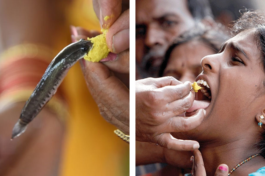 Fish Prasadam