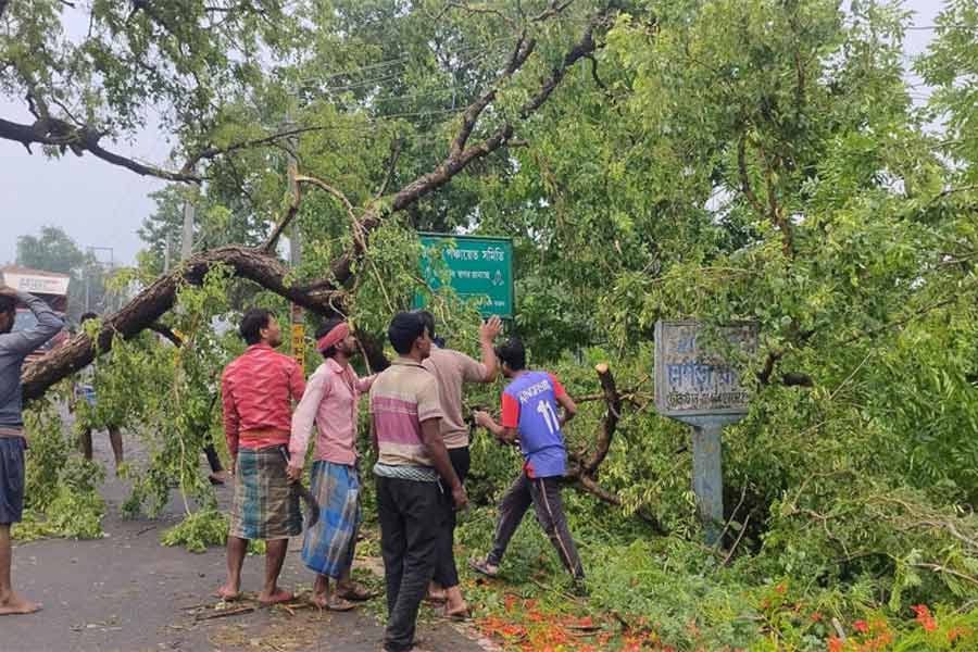 ঝড়ে গাছ ভেঙে পড়ল কৃষ্ণনগর-করিমপুর রাজ্য সড়কে। তেহট্টের মালিয়াপোতায়। নিজস্ব চিত্র