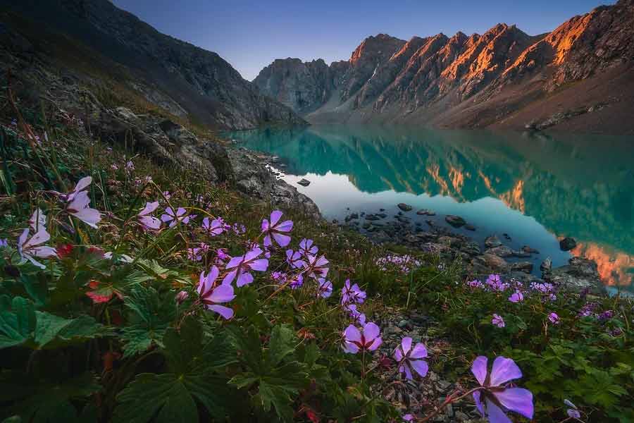প্রশ্ন হল, আমেরিকা, ইউরোপ, অস্ট্রেলিয়ার মতো নামী এবং উন্নত দেশ ছেড়ে কেন মধ্য এশিয়ার এই তুলনামূলক অখ্যাত দেশে ভারত, বাংলাদেশ এবং পাকিস্তান থেকে হাজার হাজার পড়ুয়া ডাক্তারি পড়তে যান? কী আছে কিরঘিজ়স্তানে?