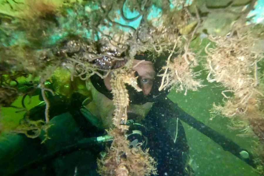 56 Year Old Man Rejuvenates by 10 Years After Living Underwater in Atlantic Ocean for 100 Days
