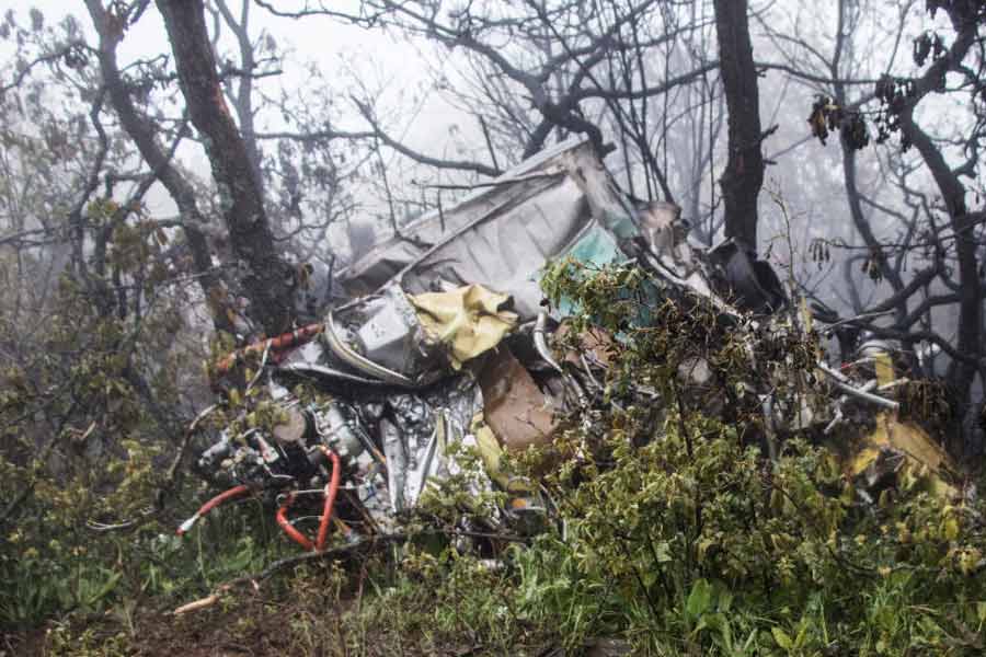 সব ছবি: সংগৃহীত