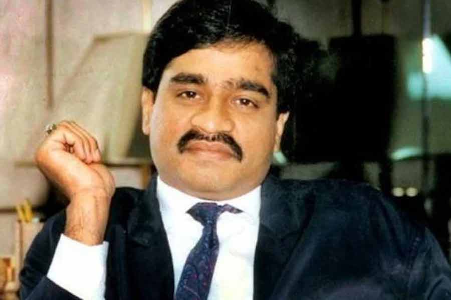image of dawood 