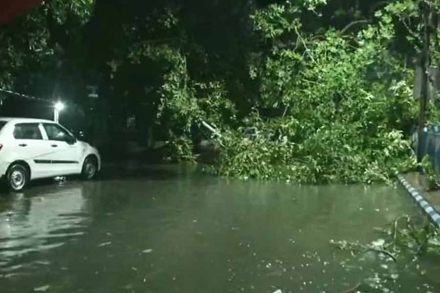 A partial disaster in Kolkata due to Cyclone Remal dgtl