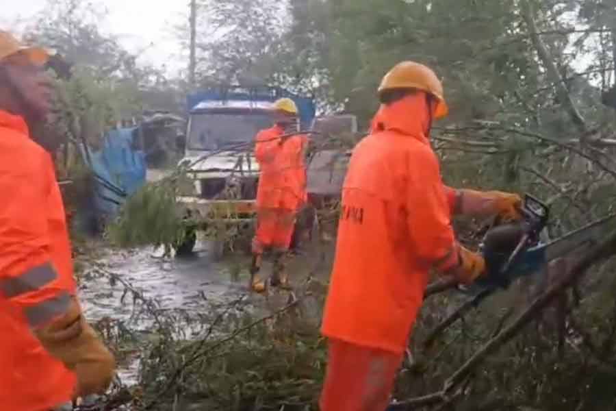 আয়লার প্রায় দশ বছর পর আবার ঘূর্ণিঝড়ের সম্মুখীন হয় রাজ্য। ২০১৯ সালের ৩ মে ঘণ্টায় ১৭৫ থেকে ১৮০ কিলোমিটার বেগে পশ্চিমবঙ্গের বুকে আছড়ে পড়ে ঘূর্ণিঝড় বুলবুল। 