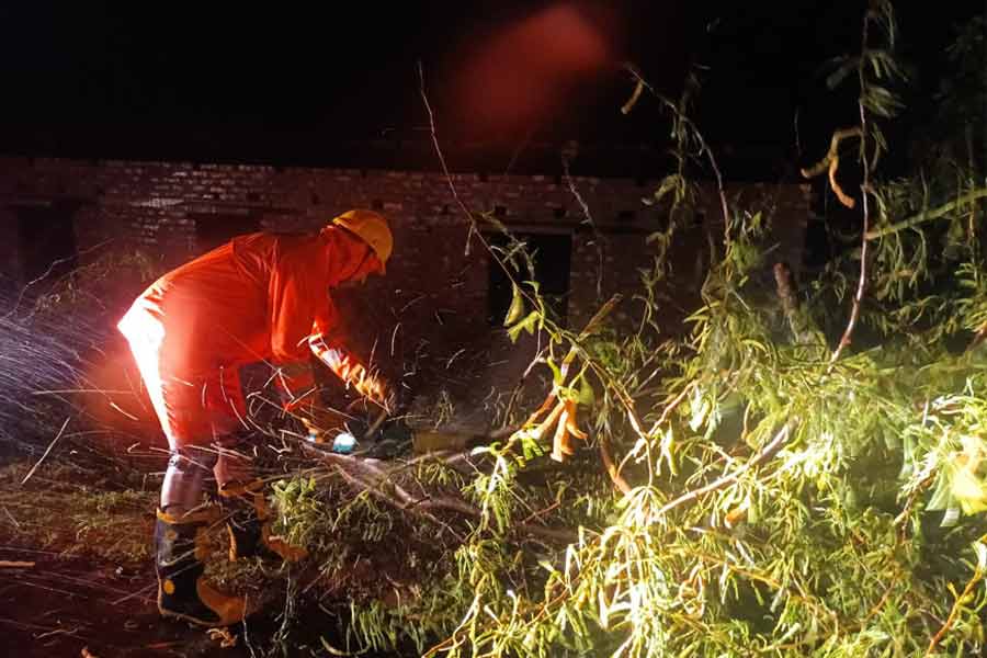 কলকাতা শহর জুড়ে নানা জায়গায় গাছ পড়েছে। রাজভবনের স্পেশ্যাল টাস্ক ফোর্সের কর্মীরা সেই গাছগুলি সরানোর ব্যবস্থা করেছেন। কলকাতার কোথাও কোথাও রবিবার মধ্যরাত থেকে বিদ্যুৎ সংযোগ নেই।