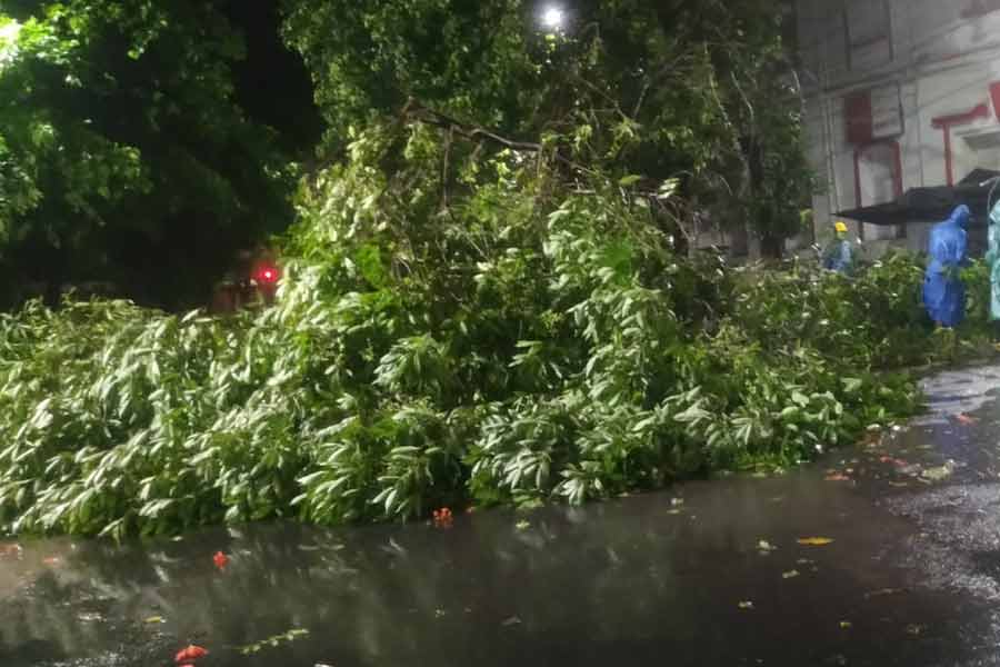 ব্যাহত হয়েছে ট্রেন এবং মেট্রো পরিষেবা। রবিবার দুপুর ১২ টা থেকে কলকাতা বিমানবন্দরে বিমান পরিষেবা বন্ধ রাখা হয়েছিল। সোমবার সকাল ১০টা নাগাদ প্রায় ২১ ঘণ্টা পর আবার বিমান ওঠানামার প্রক্রিয়া শুরু হয়েছে। 