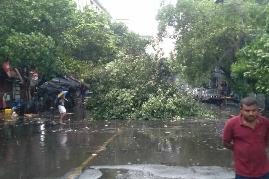 ঘূর্ণিঝড়ের জেরে কলকাতায় ঘণ্টায় ৭৪ কিলোমিটার বেগে বইল ঝোড়ো হাওয়া। আপৎকালীন পরিস্থিতির মোকাবিলায় নবান্নে বিশেষ কন্ট্রোল রুম খুলেছিল রাজ্য প্রশাসন। 