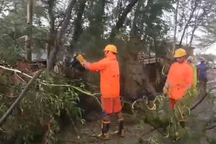 আবহাওয়া দফতরের তরফে রবিবার বিকেলের পূর্বাভাস ছিল, উত্তর বঙ্গোপসাগরের উপর দিয়ে উত্তর দিকে এগিয়ে যাবে রেমাল। রেমালের অবস্থান তখন পশ্চিমবঙ্গের সাগরদ্বীপের ১৩০ কিলোমিটার দক্ষিণ-পূর্বে ছিল। ক্যানিংয়ের ১৪০ কিলোমিটার দক্ষিণ এবং দক্ষিণ-পূর্বে ছিল রেমাল। বাংলাদেশের মোংলা থেকে ১৬০ কিলোমিটার দক্ষিণে এবং বাংলাদেশের খেপুপাড়ার ১৪০ কিলোমিটার দক্ষিণ এবং দক্ষিণ-পশ্চিমে অবস্থান ছিল ঘূর্ণিঝড়ের।