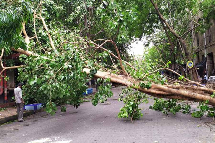 সাগরে শক্তি বাড়িয়ে প্রবল ঘূর্ণিঝড়ে পরিণত হয়ে রবিবার রাত ১২টা নাগাদ ঘূর্ণিঝড় রেমালের ‘চোখ’ ঢুকে পড়ে স্থলভাগে। বাংলাদেশের খেপুপাড়া এবং পশ্চিমবঙ্গের সাগরদ্বীপের মাঝখান দিয়ে স্থলভাগে প্রবেশ করে প্রবল ঘূর্ণিঝড় হিসাবে বাংলাদেশের মোংলার দক্ষিণ-পশ্চিমে আছড়ে পড়ে রেমাল। ঘূর্ণিঝড়ের ‘লেজটি’ ক্যানিং থেকে এখনও ৯০ কিলোমিটার দূরে ছিল। ল্যান্ডফলের গোটা প্রক্রিয়াটি প্রায় দু’ঘণ্টা ধরে চলে। আলিপুর আবহাওয়া দফতর জানায়, রাত ১২টা নাগাদ রেমালের ল্যান্ডফল শেষ হয়।