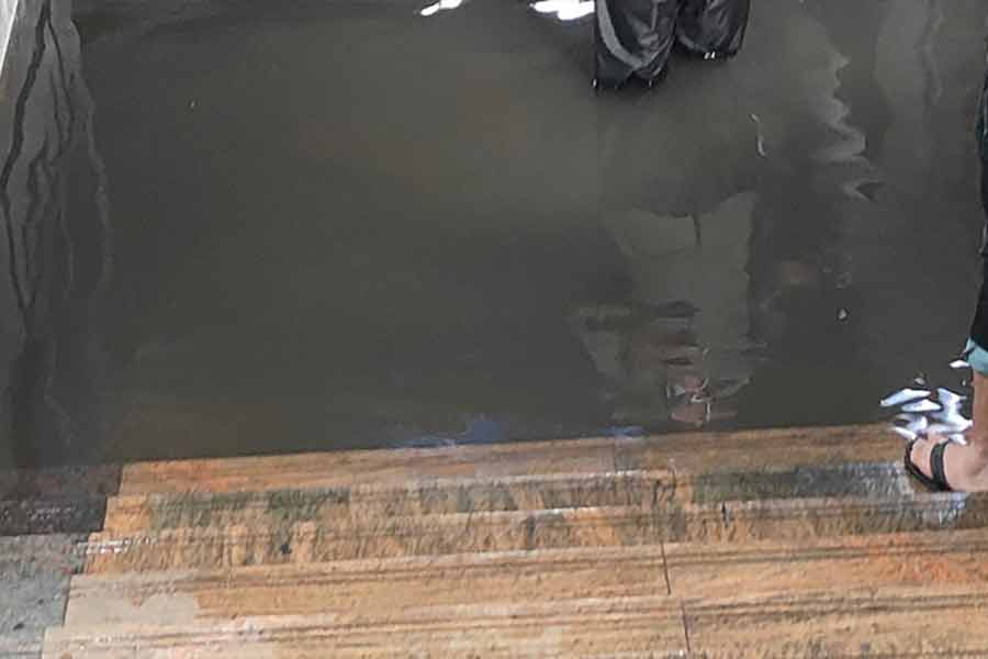 দ্রুত মেট্রো পরিষেবা স্বাভাবিক করার কাজ চলছে। ট্র্যাক থেকে জল বার করার কাজে নেমে পড়েছেন মেট্রো কর্মীরা। ঘটনাস্থলে রয়েছেন মেট্রোর উচ্চপদস্থ আধিকারিকেরাও।