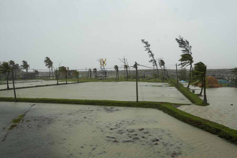 শুধু রাস্তাঘাটেই নয়, ভারী বৃষ্টি এবং ঝোড়ো হাওয়ার ফলে খেতজমিতেও জল জমে গিয়েছে। ক্যানিংয়ের চাষষোগ্য জমিও জলে টইটম্বুর।