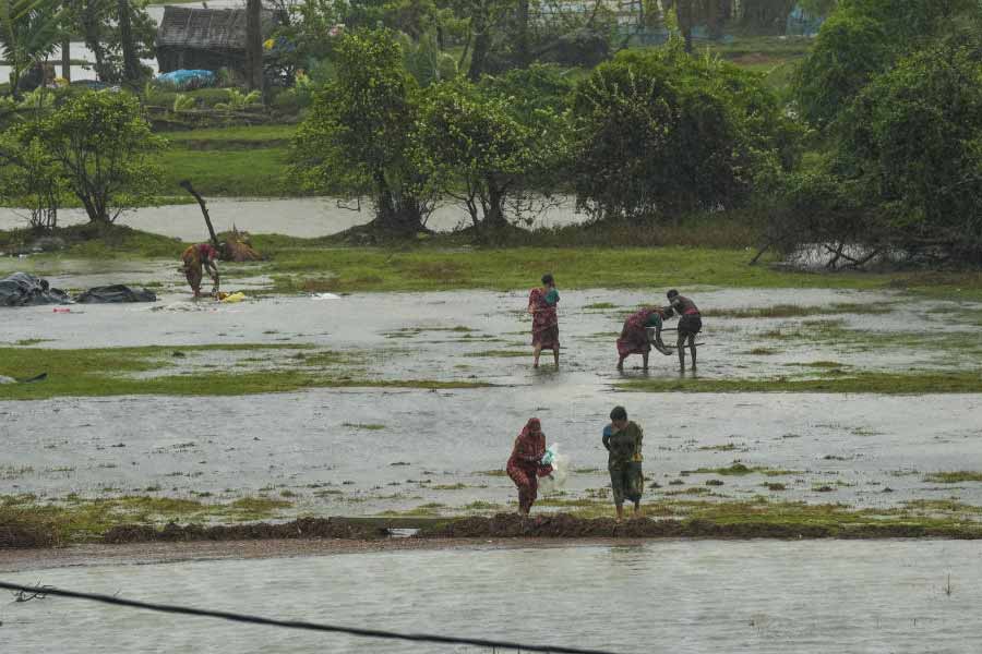 সম্প্রতি উপকূলের গা-ঘেঁষা মৌসুনি দ্বীপ পশ্চিমবঙ্গের পর্যটনস্থলের তালিকায় নাম লিখিয়েছে। দিঘা-মন্দারমণি-তাজপুর-শঙ্করপুর ছাড়া কাছেপিঠে কোথাও সমুদ্র দেখতে চাইলে পর্যটকেরা বেছে নিচ্ছেন এই দ্বীপকে। রেমালের ঝড়বৃষ্টিতে জল জমে গিয়েছে মৌসুনি দ্বীপেও।