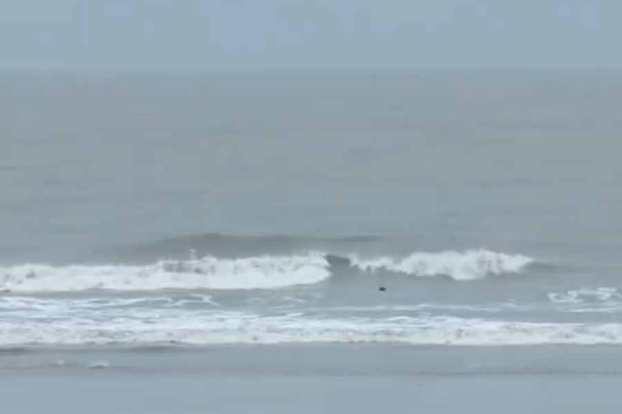 সমুদ্রপ্রেমীদের প্রিয় জায়গাগুলির মধ্যে অন্যতম মন্দারমণি। সোমবার সেখানেও আকাশ মেঘলা এবং ঝড়বৃষ্টি হয়ে চলেছে অনবরত। আলিপুরের তরফে জানানো হয়েছে, শক্তি খুইয়ে ক্রমশ উত্তর এবং উত্তর-পূর্ব দিকে এগিয়ে যাচ্ছে রেমাল। প্রতি ঘণ্টায় ঝড়টির গতিবেগ ১৫ কিলোমিটার। বিকেলের দিকে ঝড়টি আরও খানিকটা শক্তি কমিয়ে গভীর নিম্নচাপে পরিণত হবে বলে মনে করছেন আবহবিদেরা। রাতের দিকে গভীর নিম্নচাপটি আরও উত্তর-পূর্বে অগ্রসর হয়ে সাধারণ নিম্নচাপে পরিণত হবে।