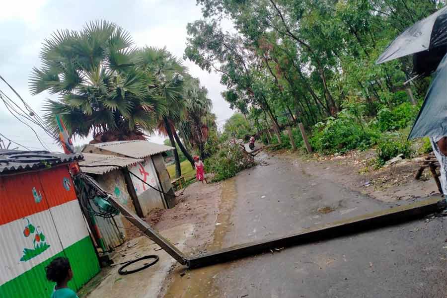 গলসির হিট্টা গ্রামে ভেঙেছে গাছ।