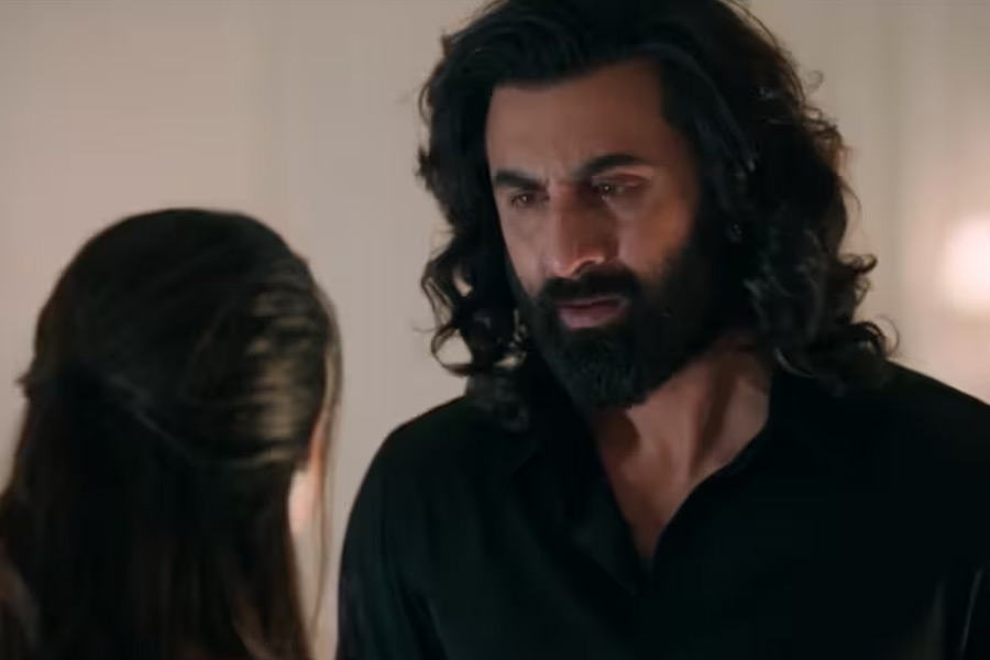 ২০২৩ সালে সন্দীপ রেড্ডি ভঙ্গার পরিচালনায় প্রেক্ষাগৃহে মুক্তি পায় ‘অ্যানিম্যাল’। রণবীর কপূর অভিনীত এই ছবির শুটিং পটৌডি প্যালেসের ইব্রাহিম কোঠির অন্দরমহলে হয়েছে।