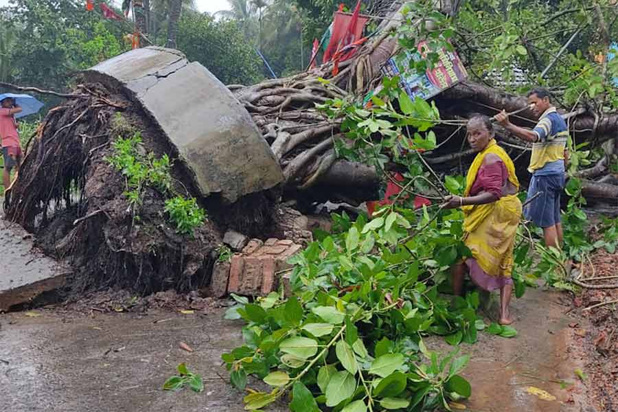 ঝড়ে হলদিয়ার চাউলখোলা গ্রাম ভেঙেছে প্রাচীন গাছ।