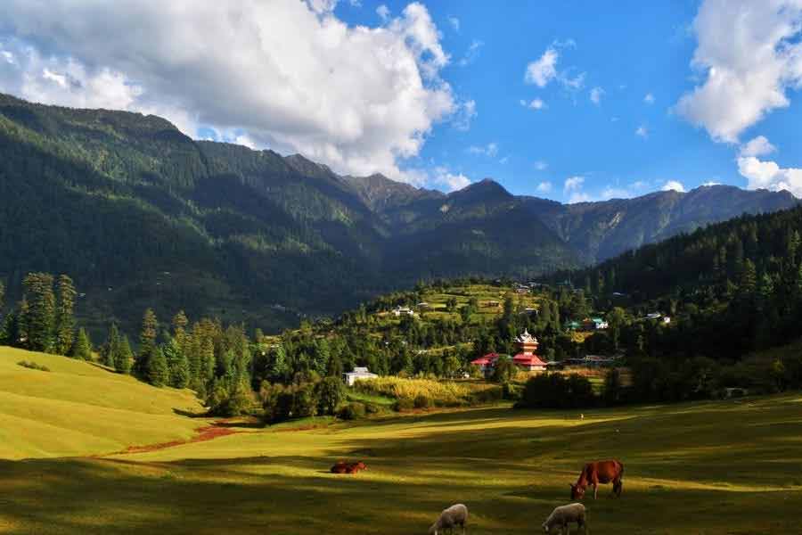 সাম্মো গ্রামে জন্ম হলেও সেখানকার এক বাসিন্দা গ্রাম থেকে অনেকটা দূরে থাকতেন। পরিবার নিয়ে গ্রাম ছেড়ে চলে গিয়েছিলেন তিনি। দীপাবলি উপলক্ষে তাঁর বাড়িতে এক বার বিশেষ খাবারদাবার রান্না করা হয়েছিল। কিন্তু বিপদের হাত থেকে বাঁচতে পারেননি তাঁরাও। গ্রামবাসীদের দাবি, তাঁদের বাড়িতে সে দিন আগুন লেগে যায়।