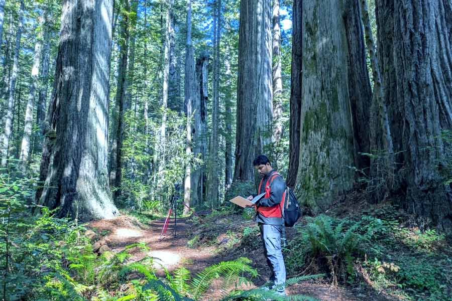 Bengali scientist Shubham Banerjee is leading research in redwood forests in America