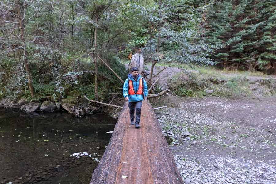 Bengali scientist Shubham Banerjee is leading research in redwood forests in America