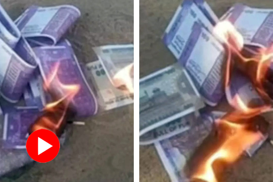 Rs 100 and Rs 500 notes being set on fire on Diwali