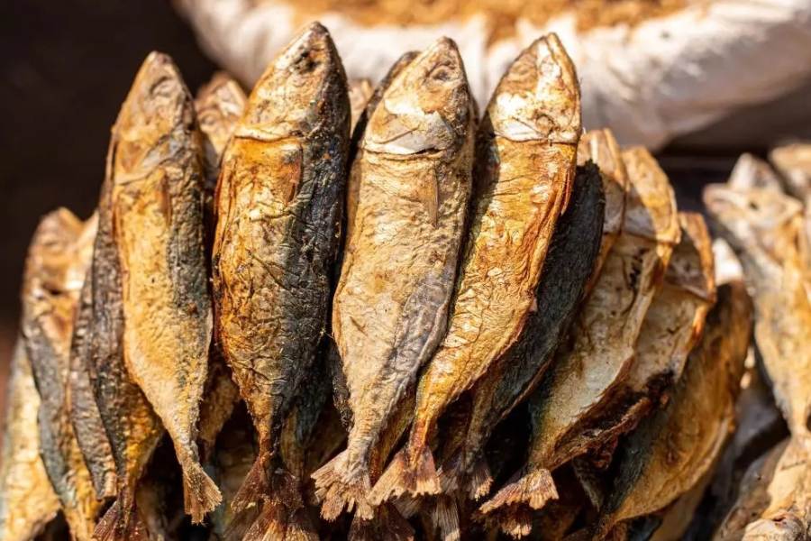 Tamil Nadu seeks GI Tag for Sea-salt dried Fish, claiming centuries old tradition dgtl