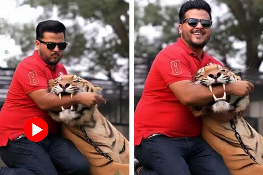 A man inserting his hand in a tiger\\\\\\\\\\\\\\\\\\\\\\\\\\\\\\\'s mouth to get views on internet