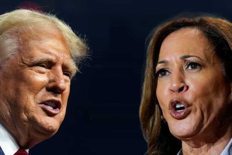 What Donald Trump and Kamala Harris doing during US President Election 2024 dgtl