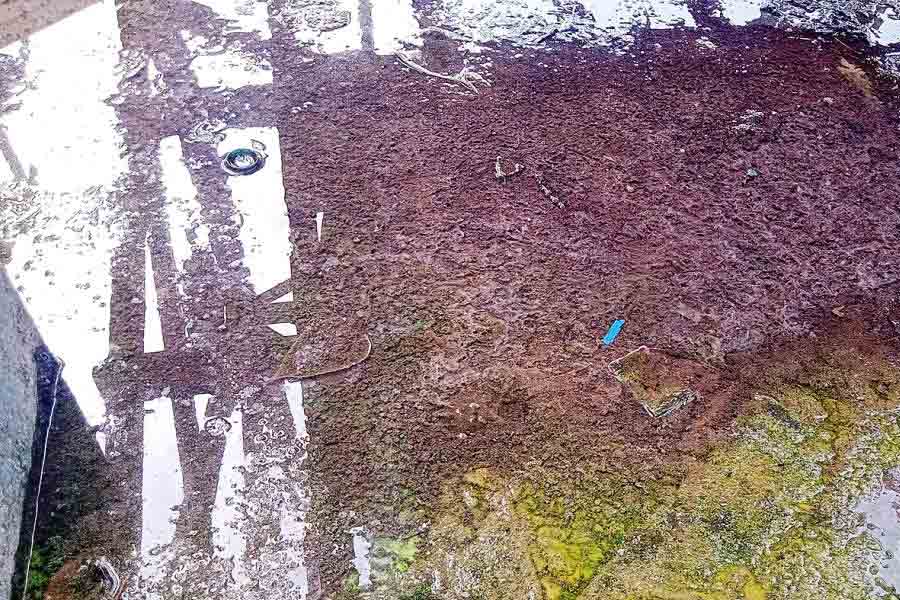 ইসলামপুর গ্রামীণ হাসপাতালে জল ও ডাবের খোলা। 