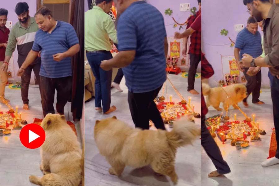 Video of pet dog worshiping with family members goes viral