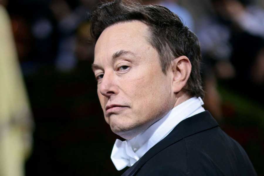 Magnificent seven, gang of heavyweight stocks that have dominated the market 