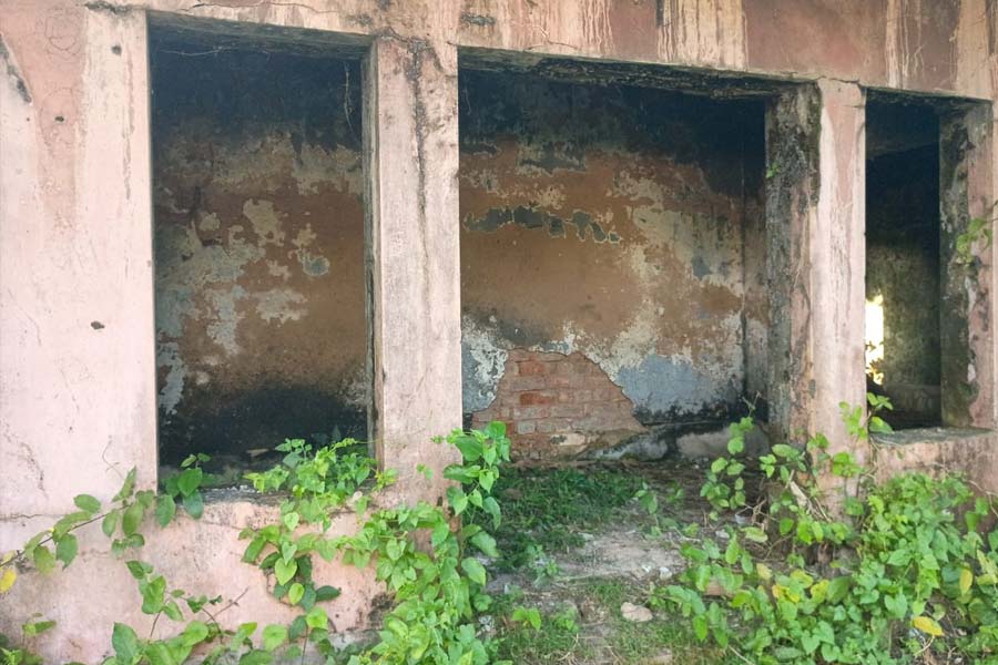 Cow shed removed from Domjur hospital dgtld