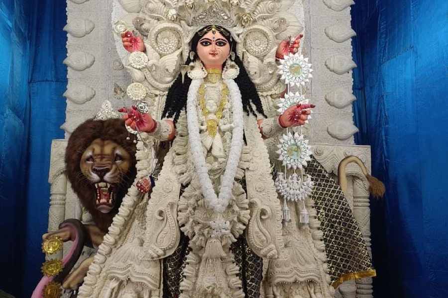 দেবীর শ্বেতশুভ্র বেশ আপনাকে মুগ্ধ করবেই।