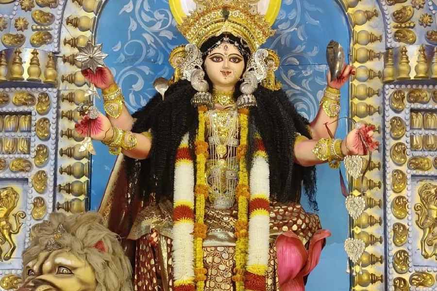 ৯। গোপালবাগ- পদ্মের আসনে বসে আছেন দেবী। কোমর পর্যন্ত চওড়া হার, কানে শোভা বাড়াচ্ছে ভারী ঝুমকো। 