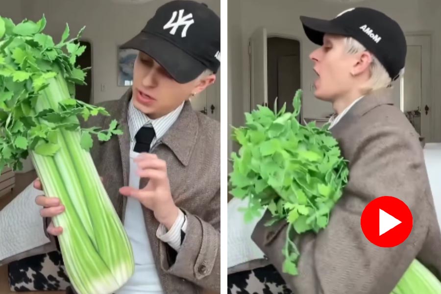 Celery shaped luxurious bag worth 4 lakh rupees, video went viral