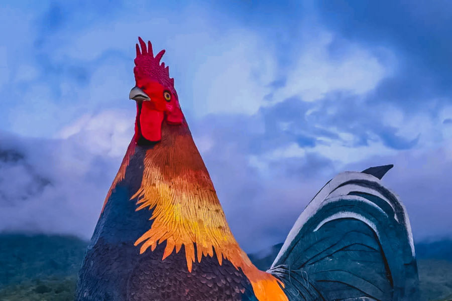 All needs to know about Chicken shaped Hotel in Philippines 
