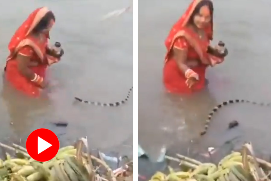 Woman standing in the river offering prayers to the Sun a snake appears