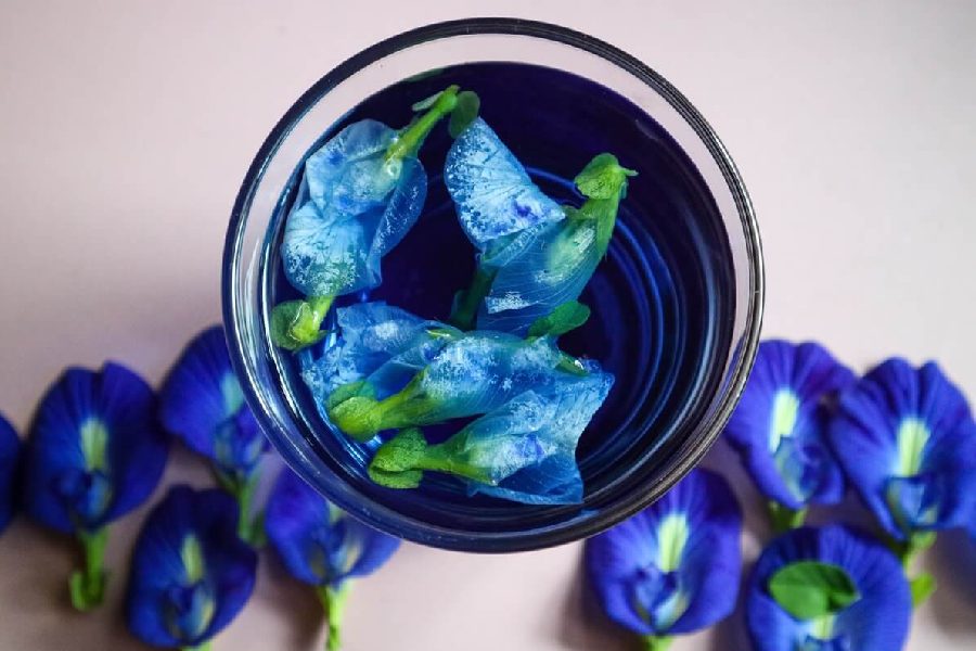 Butterfly Pea Flower