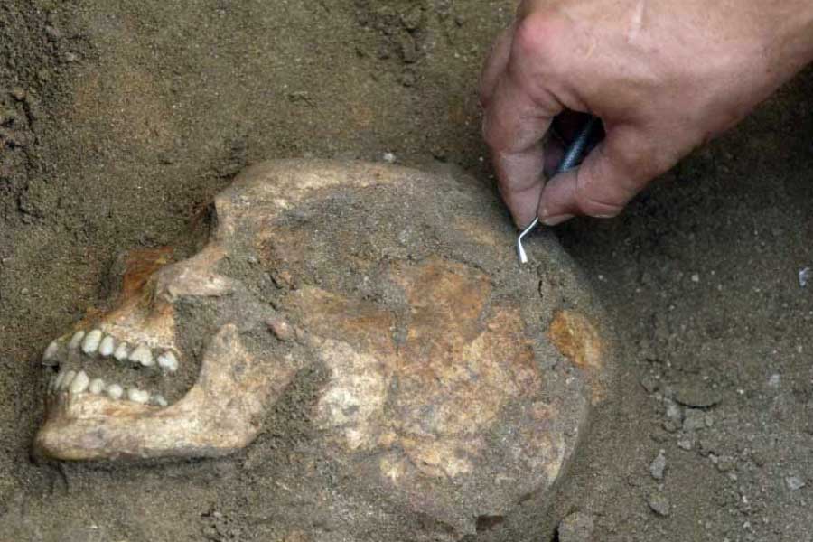 Film Sector 36 is inspired by the 2006 Nithari case in Noida 