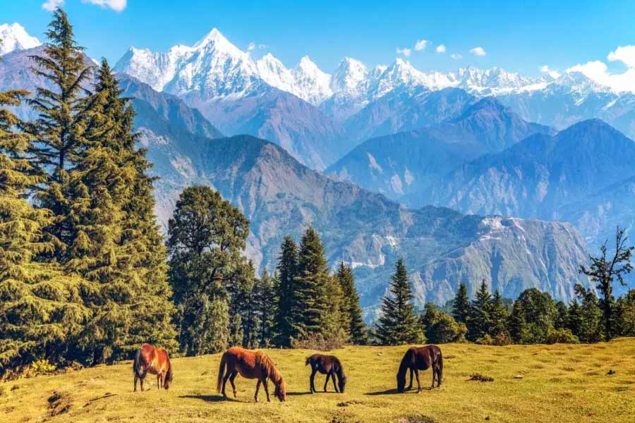 মুন্সিয়ারির পঞ্চচুলি। 