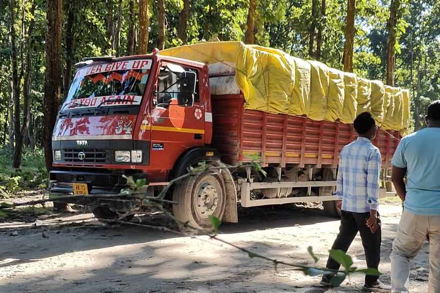 Sikkim dumping garbage in Bengal forests, wildlife organisations shows protest in Siliguri