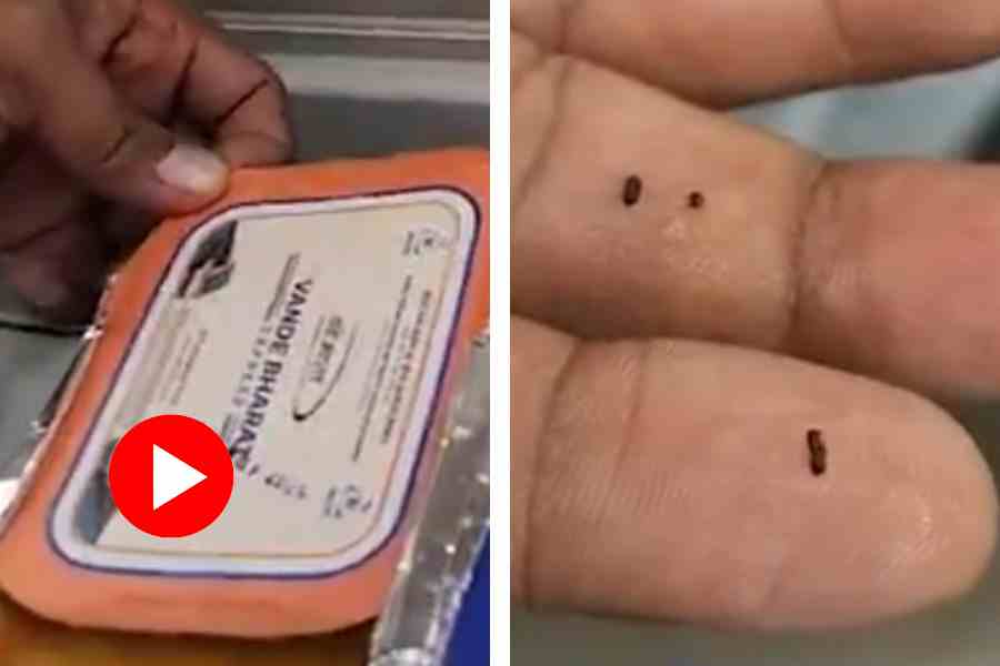 Passenger found insect on Vande Bharat food, video goes viral Railways takes action