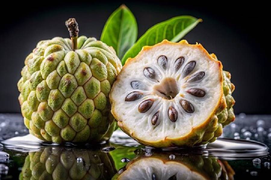 Custard Apple