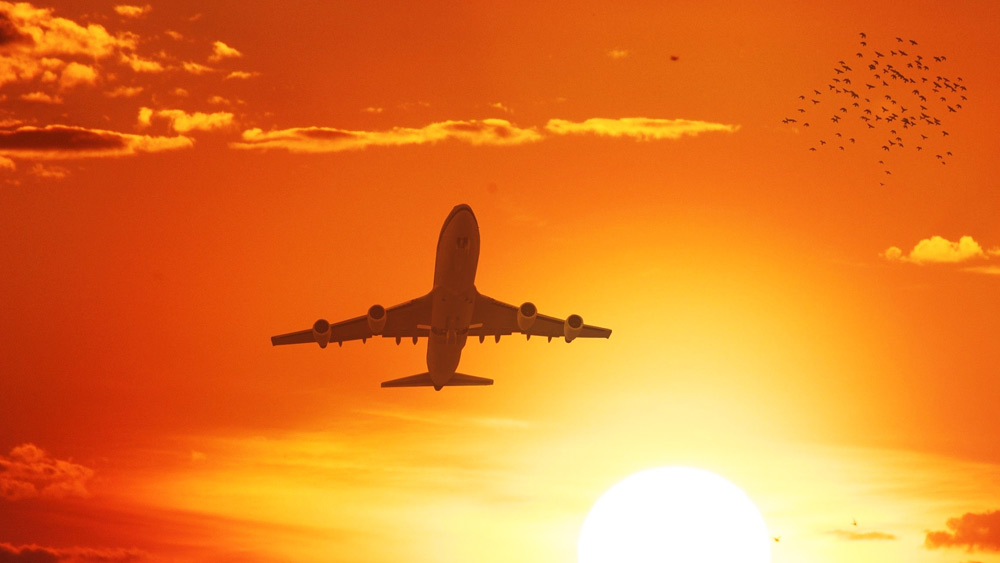 What is the story behind mysterious accident of flight 401