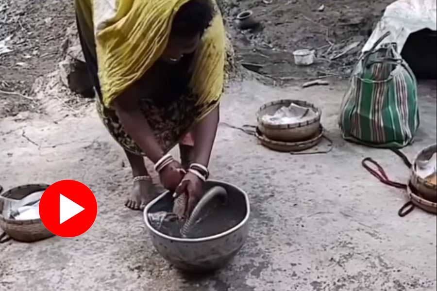 Woman is seen bathing snakes in her backyard