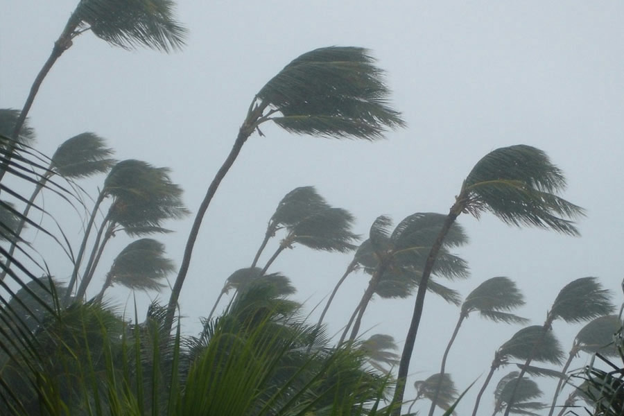 Depression forecast on Bay of Bengal what is the effect on West Bengal dgtl