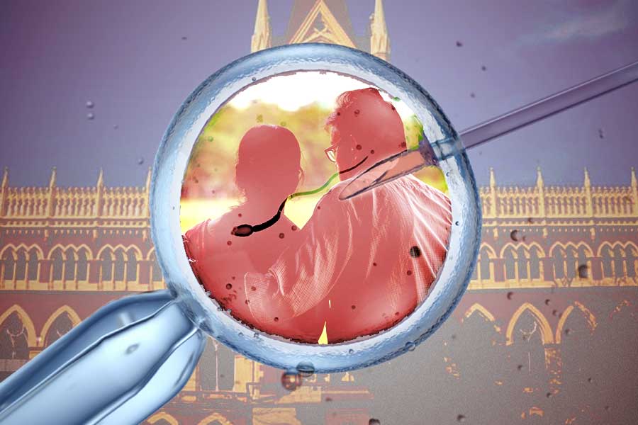 Calcutta High Court allows cossipore’s couple to adopt IVF