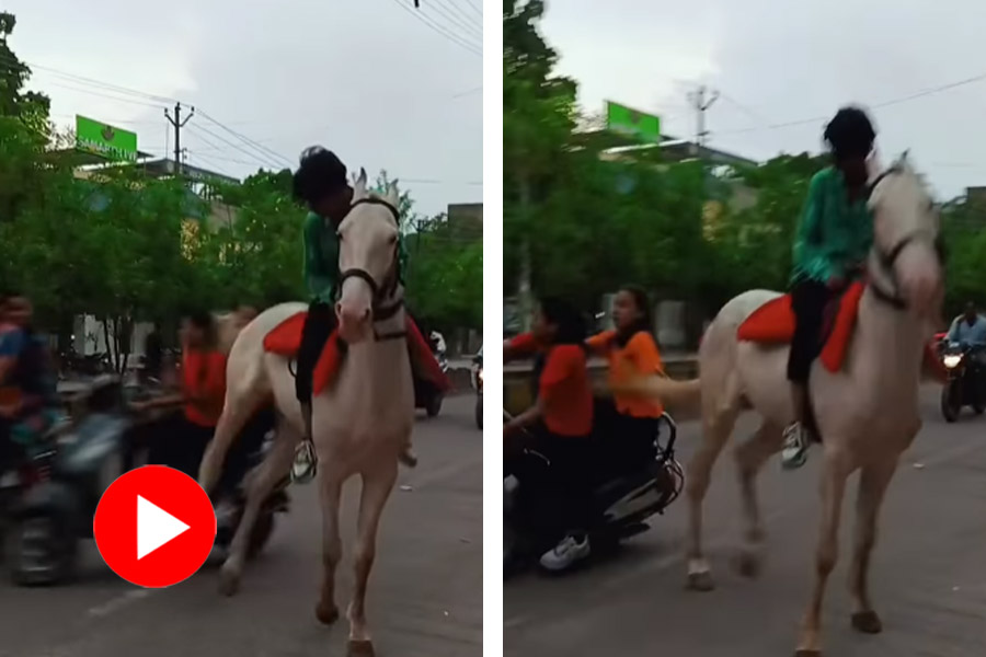 Video of horse kicking scotty riders in startling road