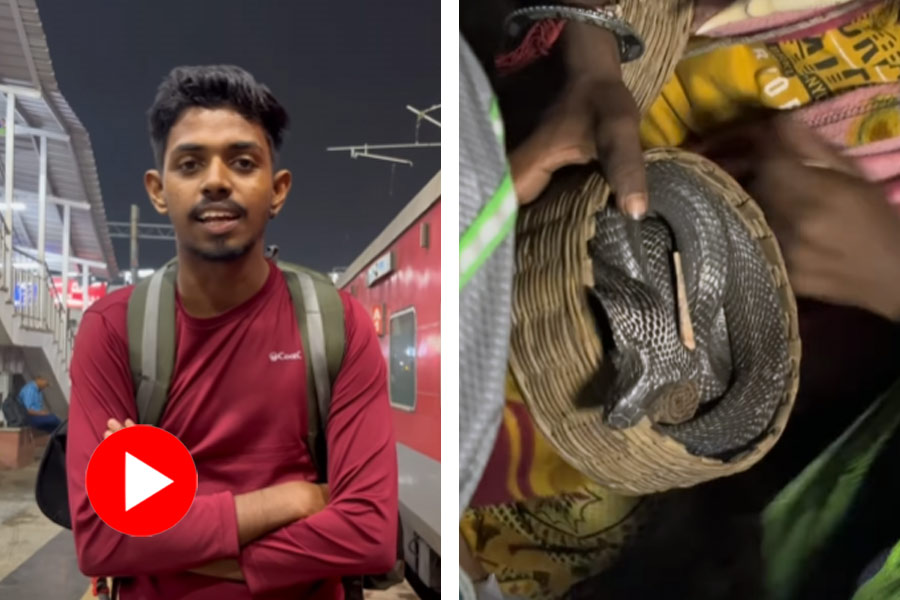 Man carried in an Indian cobra to scare passengers and solicit money