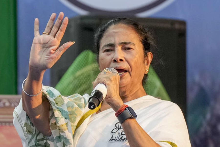 Chief Minister Mamata Banerjee will appear in the Trinamool Government Employees Federation meeting